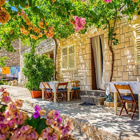 Hébergement de vacances Stone House Dioniz Brnistrova