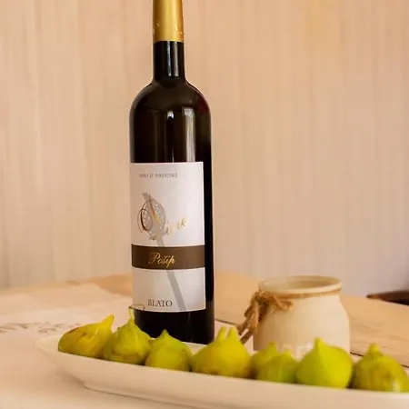 Stone House Dioniz Holiday home *